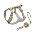 Langlebiges reflektierendes Nylon-Hundegeschirr und Leinenset im Khaki-Streifenmuster - XS / Set / Khaki
