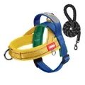 Reflective multi-colored dog harness and leash set with breathable mesh for outdoors - S / Harness & Leash Set (Includes 1.5M*1.0CM Leash) / Blue and Yellow