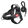 Reflective mesh dog harness with matching leash set in stylish black and red colors - S / Harness and Leash Set (1.5m) / Black and Gray