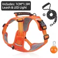 Oranges Hundegeschirr-Set mit Griff, 1,5m Seilleine und LED-Sicherheitslicht - Ausgestattet mit LED-Licht und 1,5m Leine / Orange / XS