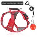 Rotes reflektierendes Hundegeschirr-Set mit 1,5m Leine und orangefarbenem LED-Licht - XS / Inklusive LED-Licht + 1,5m Leine / Rot