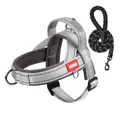 Professional reflective mesh dog harness and leash set in grey with soft handle - S / Harness and Leash Set (1.5m) / Light Gray