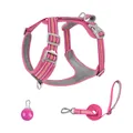 Verstellbares rosa reflektierendes Hundegeschirr und Leinen-Set mit Licht - XS / Set mit Warnleuchte / Fuchsia