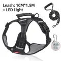 Reflektierendes Geschirr-Set mit 1,5m Leine und LED-Sicherheitslicht in Schwarz - XS / Inklusive LED-Licht + 1,5m Leine / Schwarz