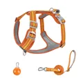 Langlebiges, reflektierendes Hundegeschirr-Set in Orange mit LED-Anhänger für Hunde - XS / Set mit Warnleuchte / Orange