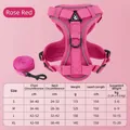 Reflektierendes rosarotes Hundegeschirr-Set mit Leine und Größentabelle für kleine Haustiere - Fuchsia