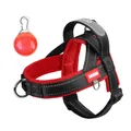 Red and black reflective mesh pet harness with safety LED light for outdoor walking - S / With Red LED Pendant / Black and Rose Red