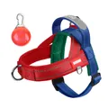 Reflective colorblock pet harness with LED safety pendant light for outdoor dog walking - S / Red And Blue + Red Pendant