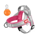 Reflective pink and grey mesh dog harness variant with an orange LED safety light - S / Gray And Pink + Orange Pendant