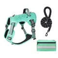 Set de arnés táctico turquesa para perro con correa reflectante y bolsa para perros - S / Set de tres piezas / Verde Turquesa