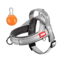 Adjustable reflective dog harness in grey and white with an orange LED safety light tag - S / With Orange LED Pendant / Silver Gray