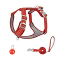 Verstellbares rotes reflektierendes Hundegeschirr und Leinen Set mit Sicherheitslicht - XS / Set mit Warnleuchte / Rot