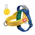 Premium multicolor reflective dog harness and yellow LED safety light for small dogs - S / With Yellow LED Pendant / Blue-Yellow