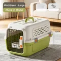 Trasportino per animali verde menta grande, 56x35x32cm, per gatti e cani - Large Transport Model (Within 10kg) / Verde menta