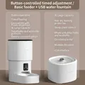 Automatic pet feeder and water fountain set, 4L food capacity and 3L silent waterer - Basic Button Feeding and Drinking Set / 7L Large Capacity (4L Feeder + 3L Water USB)