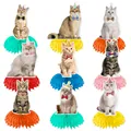 9er-Set realistische Katzen-Waben-Tischdekorationen für Haustier-Geburtstagspartys - Katzen-Wabentischdeko / 9er Set
