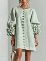 Elegantes hellgrünes französisches Kleid aus Baumwolle mit 3D-Blumen-Laternenärmeln - Hellgrün