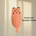 Detalle de un peluche rosa para gatos con hierba gatera y un sonido integrado. - Gato Naranja