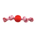Durable pink and white braided cotton rope dog toy with a red textured rubber chew ball - Red