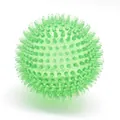 Balle élastique verte à picots en TPR pour le divertissement et la santé des chiens - Petit (6cm) / Vert
