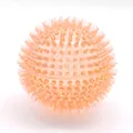 Balle de jouet pour chien orange en TPR à picots pour le massage dentaire et le jeu - Petit (6cm) / Orange