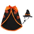 Halloween-Haustierkostüm-Set mit schwarzem Kürbisumhang und passendem Hexenhut mit Glocke. - Umhang & Hut Set / Schwarz Orange