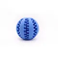 Langlebiger blauer Kauspielzeug-Ball für Hunde mit Noppen zur Zahnpflege für Haustiere - Futterball / Klein (Durchmesser 5cm) / Blau