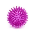 Palla viola con punte per cani in TPR, giocattolo sonoro da masticare - Diametro 5.5cm (Senza Imballaggio) / Viola