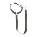 Verstellbarer olivgrüner Nylon Auto-Sicherheitsgurt für Hunde mit robustem Metallhaken - Armeegrün