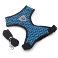 Arnés de chaleco para mascotas con patrón de zigzag azul y juego de correa a juego - Juego de Patrón de Ondas / Azul