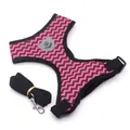 Arnés rosa con patrón de zigzag para mascotas y juego de correa negra para perros pequeños - Juego de Patrón de Ondas / Rosa rojo