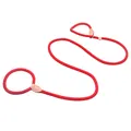Durable red nylon slip lead dog leash for large dogs anti-pull training rope - 150cmx6mm / Red