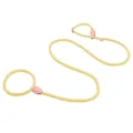 Durable yellow braided rope slip lead dog leash featuring premium leather accents - 150cmx6mm / Yellow