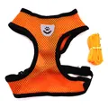 Ademend oranje honden harnas vest en een bijpassende riem set voor honden - S / Aanbevolen 1.5-2.5kg / Oranje