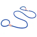 Heavy duty blue nylon slip lead P-chain dog leash for training and walking large dogs - Blue