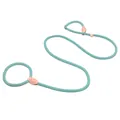 Durable turquoise slip rope dog leash with leather reinforcement for large dogs - Cyan