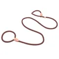 Durable brown dog P-rope slip lead leash for large dogs training - Brown