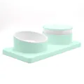 Mint green 2-in-1 pet automatic water fountain with tilted cat food bowl combo set - Plastic Bowl Set / Green