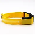 Collier pour animaux jaune à LED avec boucle de sécurité pour la nuit ajustable - Jaune
