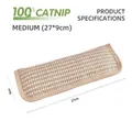 Jouet en tissé pour chat avec 100% cataire, design rectangulaire résistant 27x9cm - Coussin à l'Herbe à Chat / Moyen (27x9cm)