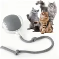 Jouet yo-yo interactif gris pour chat avec corde à nœuds pour l'exercice en solo. - Balle Interactive Intelligente / Réglage de 3e Génération / Gris