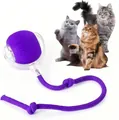 Jouet interactif pour chat yoyo violet avec balle nervurée et corde tressée nouée - Balle Interactive Intelligente / Réglage de 3e Génération / Violet