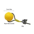 Palla per cani in EVA gialla con corda resistente, diametro 7 cm, giocattolo - Palla di Corda (Piccola) / Palla 7cm/Corda 58cm / Giallo