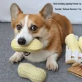 Détail du jouet sonore pour chien en forme de cacahuète avec surface texturée durable - Jouet cacahuète / Type Molaire Sifflant / Light jaune