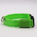 Collier pour chien à LED vert néon haute visibilité avec boucle et anneau en D - Vert