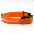 Collier LED réglable pour chien orange vif avec bande réfléchissante de sécurité nocturne - Orange
