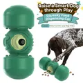 Jouet interactif vert pour grands chiens avec distributeur de nourriture détail - Vert