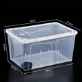 Hochauflösendes Terrarium aus Kunststoff für Reptilien mit Maßen 41x27,5x20,5 cm - Extra Groß (Mit Futternapf) / Klarweiß