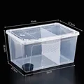 Große transparente Kunststoff-Reptilienbox mit Trennwänden für Geckos und Spinnen 41cm - Extra Groß (Mit Trennwand + Futternapf) / Klarweiß