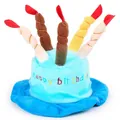 Blue plush birthday cake hat for dogs and cats with colorful candles and embroidery - Blue Birthday Hat / Blue